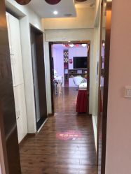 -成都苗方清颜专业祛痘