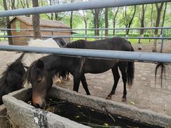 -长白岛森林公园