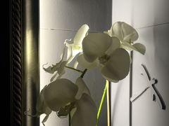 -Dragonfly悠庭·按摩Spa(静安嘉里中心店)