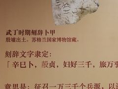 -安阳博物馆