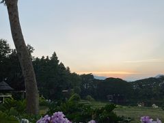 -四季酒店下午茶