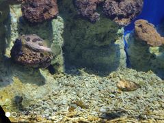 -福州罗源湾海洋世界旅游区