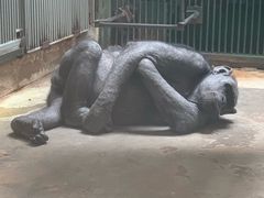 -辛玛王国游乐园