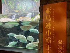 -成都浩海立方海洋公园