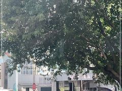 -星巴克臻选(深圳龙岗万科店)