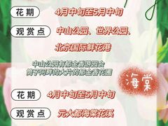 -沉浸北京·团建旅行·密室剧本杀·年会会议轰趴拓展