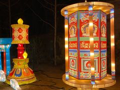 -南宫五洲植物乐园