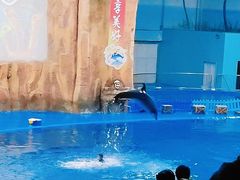 -华夏文旅海洋公园