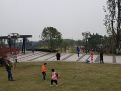 -铁山坪森林公园