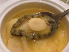 鲍鱼竹笙煨鱼肚-芳满庭·江浙小馆(1912店)