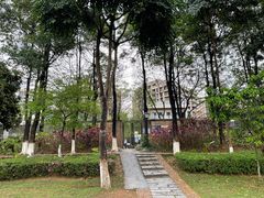 -松山湖风景区松湖烟雨