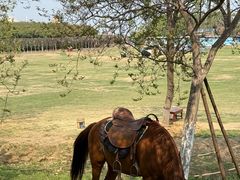 -武汉紫薇都市田园