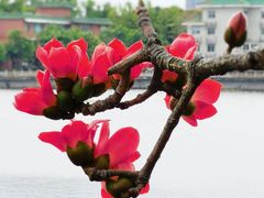 -东山湖公园