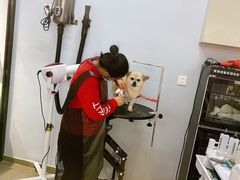 -PETKIT 小佩宠物·德文赛凯猫舍