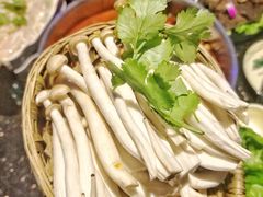 -佰迪乐KTV·大屏K歌(公园店)