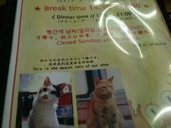 -阿岘洞酱蟹