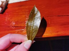 -先机泉水鸡汤(南山老君洞店)