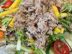 金枪鱼沙拉-三月居酒屋(青年大街店)