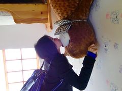 -金山农民画村-枫泾波兰倒置屋