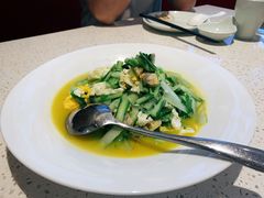 渔村小白菜-船歌·鱼水饺青岛菜(金狮广场店)