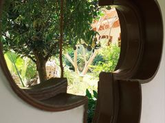 -深圳仙湖植物园
