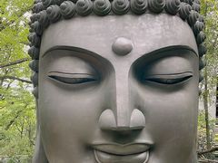 -杭州植物园