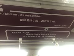 -上海动物园(地铁站)