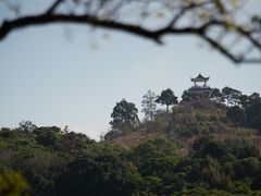 -马峦山郊野公园