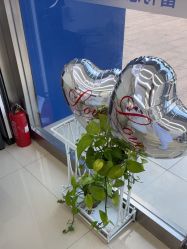 -蕾特恩祛痘•皮肤管理