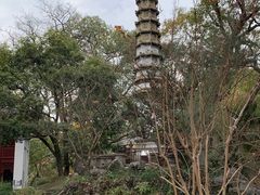 -西泠印社
