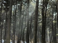 -长春净月潭风景名胜区