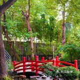 杭州首家庭院艺术料理⛰一秒穿越到京都🎎