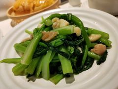 白灼芥兰-老广酒楼(樱花店)