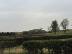 -汉景帝阳陵博物院