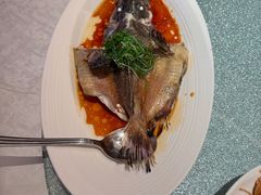 清蒸老虎斑-南海渔村(珠江新城店)