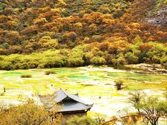 -黄龙山原始森林景区