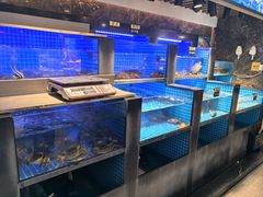 -大鹏饭店·金陵家宴(奥体中心店)