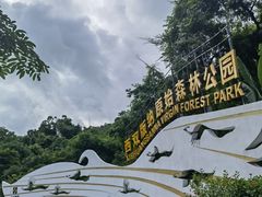 -西双版纳原始森林公园