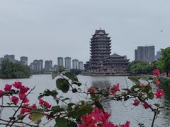 -眉山湿地公园(东坡区)