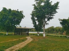 -白鹭湾湿地公园