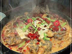 -老板恋上鱼(高新万达店)