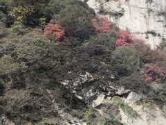 -少华山国家森林公园