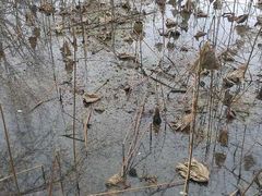 -四川大学(华西校区)