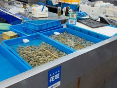 -陇南批发市场