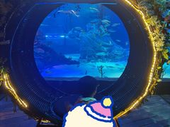 -沈阳海洋探索中心