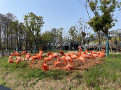 -武汉动物园