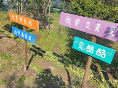 -前小桔亲子创意农场·草莓采摘·露营烧烤