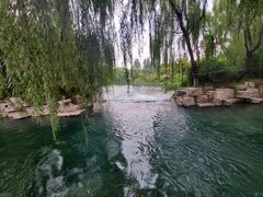 -百脉泉景区