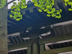 -天龙宝严素食馆(大兴善寺店)