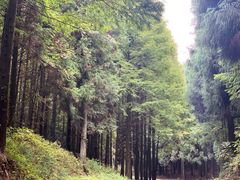 -山王坪喀斯特国家生态公园